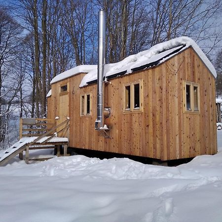 Celorocni Glamping V Pohodlnem Domecku Villa Vyprachtice Luaran gambar