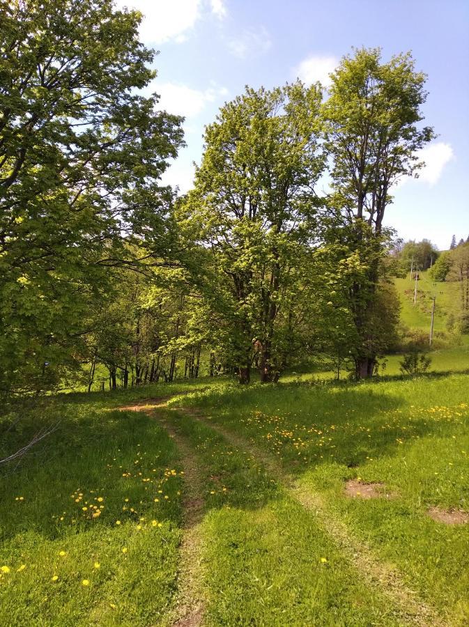 Celorocni Glamping V Pohodlnem Domecku Villa Vyprachtice Luaran gambar