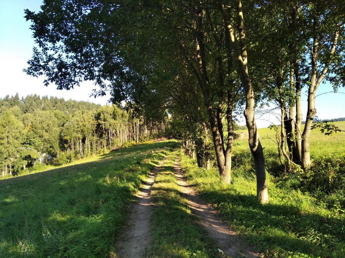 Celorocni Glamping V Pohodlnem Domecku Villa Vyprachtice Luaran gambar