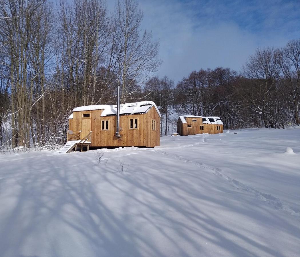 Celorocni Glamping V Pohodlnem Domecku Villa Vyprachtice Luaran gambar